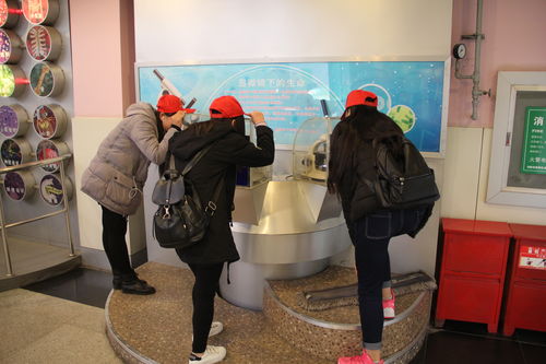 樂(lè)于探索，熱愛科學(xué) 酒店管理系青年志愿者赴科技館開展專業(yè)融合之旅